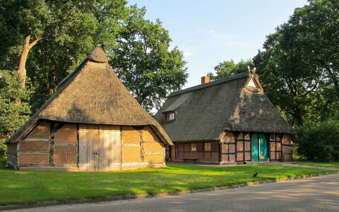 Sandbostel 601: Dachdecken, Haus, Zuhause, Eigentum, Hütte, Dach, Gebäude, Bauernhaus, Ländliches Gebiet, Gras