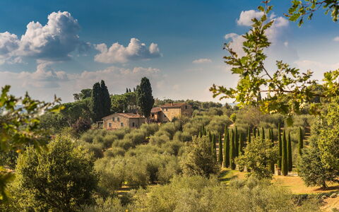 Villa Poggiospinoso: Natürliche Landschaft, Natur, Himmel, Vegetation, Baum, Wolke, Natürlichen Umgebung, Wildnis, Biome, Naturschutzgebiet