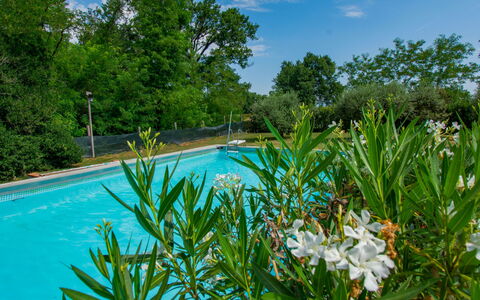 Elena: Blau, Strauch, Garten, Schwimmbad, Schatten, Landscaping, Botanischer Garten, Hinterhof, Eco Hotel