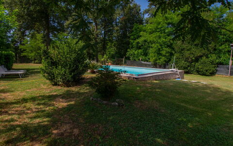 Elena: Baum, Schwimmbad, Garten, Schatten, Rasen, Freizeit, Hinterhof, Landscaping, Garten, Park