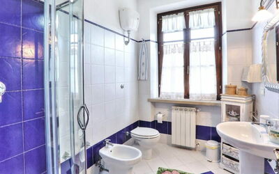 Uva: Sinken, Armatur, Eigentum, Zapfhahn, Fenster, Lila, Blau, Azurblau, Bad Sink, Badezimmer