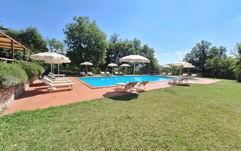 Agriturismo L'incrociata: Schwimmbad, Resort, Eco Hotel, Hazienda, Estate, Villa, Garten, Landscaping, Schatten, Hotel