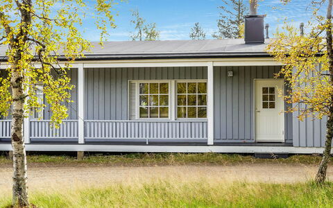 Saariseläntie 8 e 11: Holz, Hütte, Blockhaus, Wald, Schuppen, Gartenbauten, Lärche, Wald, Holzbeize