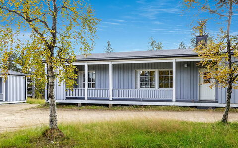 Saariseläntie 8 e 11: Holz, Hütte, Blockhaus, Wald, Schuppen, Gartenbauten, Lärche, Wald, Holzbeize