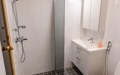 Skistar 105: Flooring, Badezimmer, Fussboden, Armatur, Interior Design, Installation, Fliese, Toilette, Badezimmerschrank, Dusche