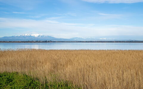 Ajoupa: Blau, Wasser, Wasservorräte, Natürliche Landschaft, Horizont, Ökoregion, Bank, Sumpf, Einfach, See