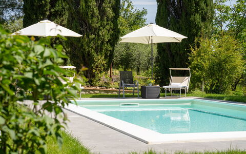 Villa Luana: Wasser, Pflanze, Eigentum, Schwimmbad, Schatten, Regenschirm, Baum, Gartenmöbel, Rechteck, Gras