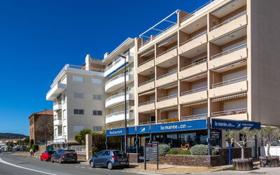 Les Mimosas - Sainte-Maxime, Provence-Alpes-Côte D'Azur, Frankreich