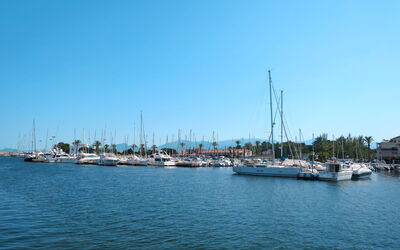 Saint Cyprien 290