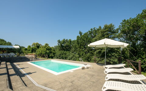 Grezzano Villa: Himmel, Baum, Schwimmbad, Schatten, Gartenmöbel, Grundstueck, Arecales, Gras, Freizeit, Landschaft
