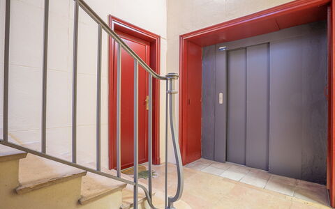 Broussais: Gebäude, Holz, Halle, Flooring, Fussboden, Wand, Materialeigenschaft, Hartholz, Verbundwerkstoff