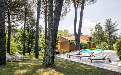 Villa Del Mugello: Pflanze, Gebäude, Eigentum, Himmel, Schatten, Baum, Haus, Grundstueck, Wolke, Schwimmbad