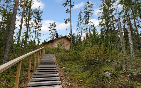Kaitaranta: Holz, Hütte, Blockhaus, Wald, Schuppen, Gartenbauten, Lärche, Wald, Holzbeize