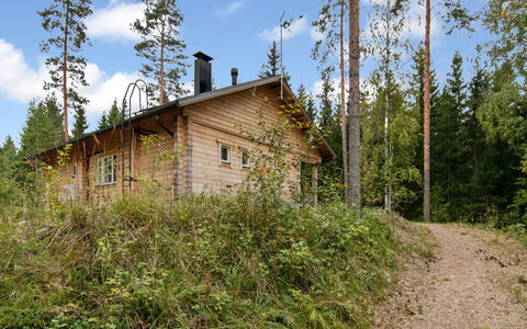 Kaitaranta: Holz, Hütte, Blockhaus, Wald, Schuppen, Gartenbauten, Lärche, Wald, Holzbeize