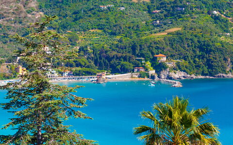 Marlà - Levanto: Wasser, Pflanze, Natur, Azurblau, Baum, Vegetation, Natürliche Landschaft, See, Gewässer, Strand