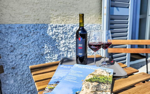 Brissago 724: Freizeit, Gartenmöbel, Urlaub, Wein