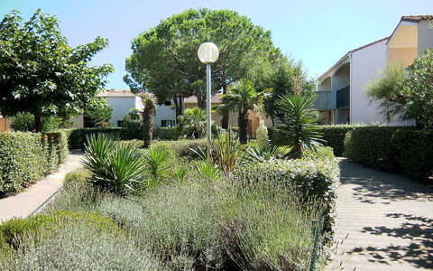 Saint Cyprien 700: Pflanze, Himmel, Gebäude, Pflanzengemeinschaft, Natur, Fenster, Baum, Strassenlicht, Natürliche Landschaft, Haus