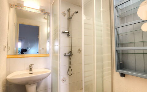 Saint Cyprien 770: Badezimmer, Eigentum, Zimmer, Fliese, Dusche, Wand, Interior Design, Armatur, Die Architektur, Zapfhahn