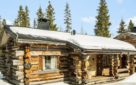 Luostonseita 1: Möbel, Stuhl, Gartenmöbel, Tabelle, Holz, Tisch Im Freien, Küche & Esszimmer Tisch, Schatten, Garten, Regenschirm
