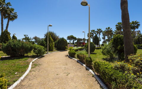 Cala Blanca i: Blatt, Vegetation, Strauch, Garten, Gehölz, Landscaping, Botanischer Garten, Strassenlicht, Schatten