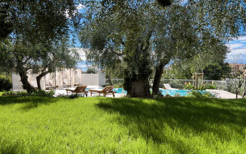 Villa Mimosa - Diano Marina: Pflanze, Pflanzengemeinschaft, Baum, Natürliche Landschaft, Schatten, Grundstueck, Wolke, Gras, Wiese, Freizeit