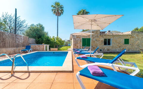 Can Delfin Alcudia: Himmel, Pflanze, Wasser, Gebäude, Schwimmbad, Azurblau, Sonnenliege, Schatten, Gartenmöbel, Baum