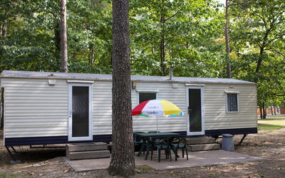 Oostappen Vakantiepark Arnhem 150.5: Pflanzengemeinschaft, Blatt, Baum, Schatten, Pflanze, Zelt, Camping, Außenbank, Gras, Freizeit