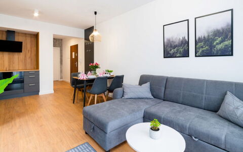Karpatia: Tabelle, Couch, Möbel, Eigentum, Grün, Pflanze, Zimmerpflanze, Gebäude, Bilderrahmen, Interior Design