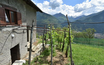 Rustico Rebustella