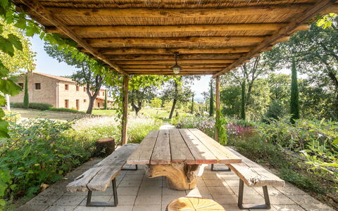 Fonte Della Chiana: Pflanze, Natur, Schatten, Holz, Fenster, Botanik, Baum, Gras, Vegetation, Biome