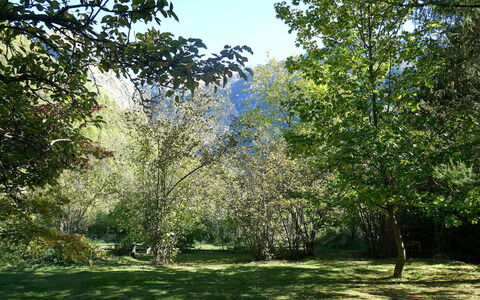 Chalet al Portic: Ast, Grün, Blatt, Baum, Natürlichen Umgebung, Natur, Vegetation, Strauch, Pflanzengemeinschaft, Garten