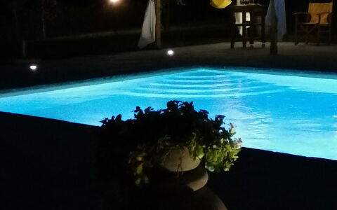 Il Pozzo Di San Barnaba: Wasser, Pflanze, Blumentopf, Licht, Zimmerpflanze, Himmel, Interior Design, Rechteck, Schwimmbad, Gras