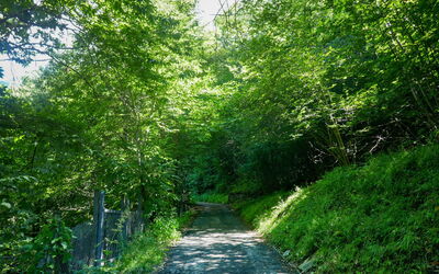 Open Space with Patio Lety