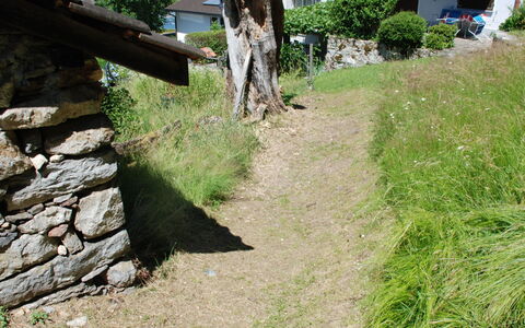 Baita Monti di Piazzogna: Pflanze, Eigentum, Pflanzengemeinschaft, Baum, Grundstueck, Gras, Biome, Natürliche Landschaft, Haus, Bedrock