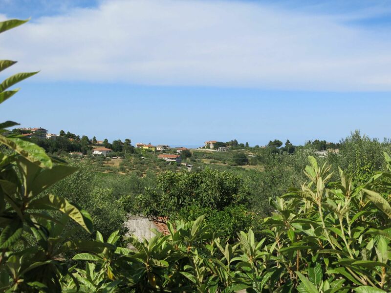 Il Giardino Degli Ulivi