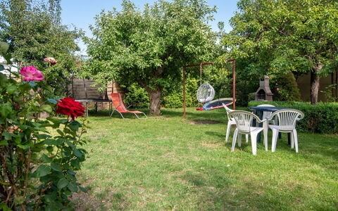 Koszalin 300: Strauch, Garten, Rasen, Frühling, Hinterhof, Garten, Landscaping, Schatten, Park