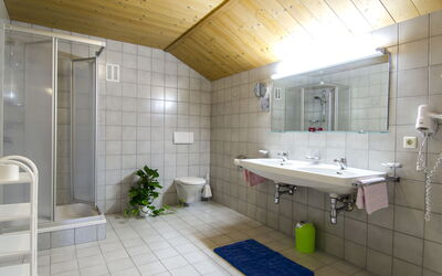 Apart Maashof Ii 1.2: Zapfhahn, Pflanze, Sinken, Spiegel, Armatur, Bad Sink, Gebäude, Badezimmer, Interior Design