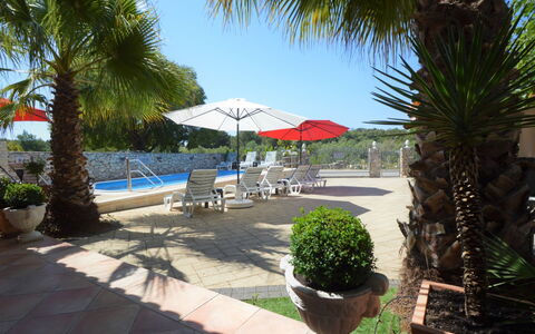 Vodice Tribunj 143: Pflanze, Himmel, Eigentum, Wasser, Azurblau, Schatten, Blumentopf, Gartenmöbel, Baum, Arecales