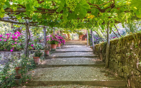 Ville Rosadi Weddings: Blume, Pflanze, Baum, Botanik, Garten, Frühling, Walkway, Blatt, Pergola, Die Architektur