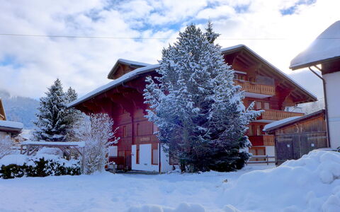 Saanen 100: Wolke, Himmel, Schnee, Gebäude, Pflanze, Fenster, Baum, Haus, Ast, Lärche