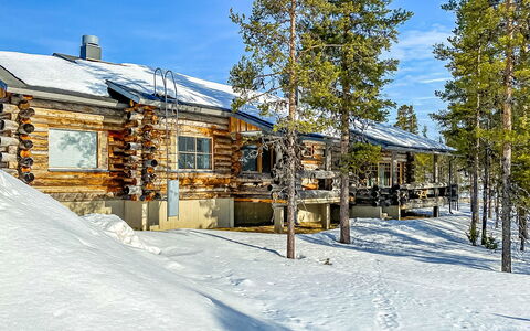 Kairapolanne B: Holz, Hütte, Blockhaus, Wald, Schuppen, Gartenbauten, Lärche, Wald, Holzbeize