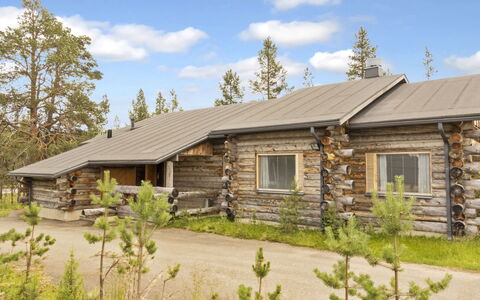 Kairapolanne B: Holz, Hütte, Blockhaus, Wald, Schuppen, Gartenbauten, Lärche, Wald, Holzbeize