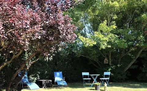 Les Hortensias: Pflanze, Blatt, Botanik, Baum, Ast, Blume, Schatten, Natürliche Landschaft, Zweig, Biome