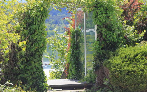 Vinzek: Pflanze, Eigentum, Pflanzengemeinschaft, Natürliche Landschaft, Schatten, Gras, Strauch, Hecke, Ground, Landschaft