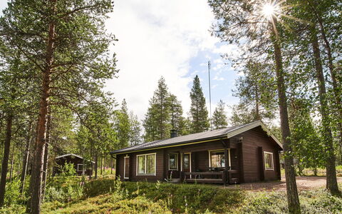 Jormakka: Holz, Hütte, Blockhaus, Wald, Schuppen, Gartenbauten, Lärche, Wald, Holzbeize