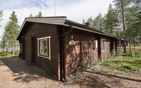 Jormakka: Holz, Hütte, Blockhaus, Wald, Schuppen, Gartenbauten, Lärche, Wald, Holzbeize