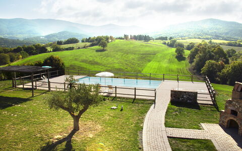 Villa Guardistallo: Wolke, Pflanze, Himmel, Eigentum, Berg, Natürliche Landschaft, Baum, Gras, Grundstueck, Biome