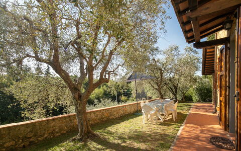 Casa Del Colle: Pflanze, Himmel, Baum, Schatten, Gras, Natürliche Landschaft, Holz, Gebäude, Landschaft, Tönungen Und Schatten