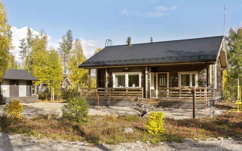 Lapinvouti: Holz, Hütte, Blockhaus, Wald, Schuppen, Gartenbauten, Lärche, Wald, Holzbeize