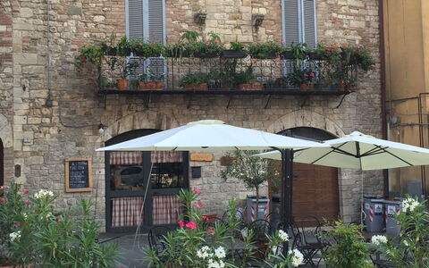 La Terrazza Di Todi: Pflanze, Fenster, Eigentum, Blume, Blumentopf, Zimmerpflanze, Gebäude, Beleuchtung, Strassenbelag, Regenschirm
